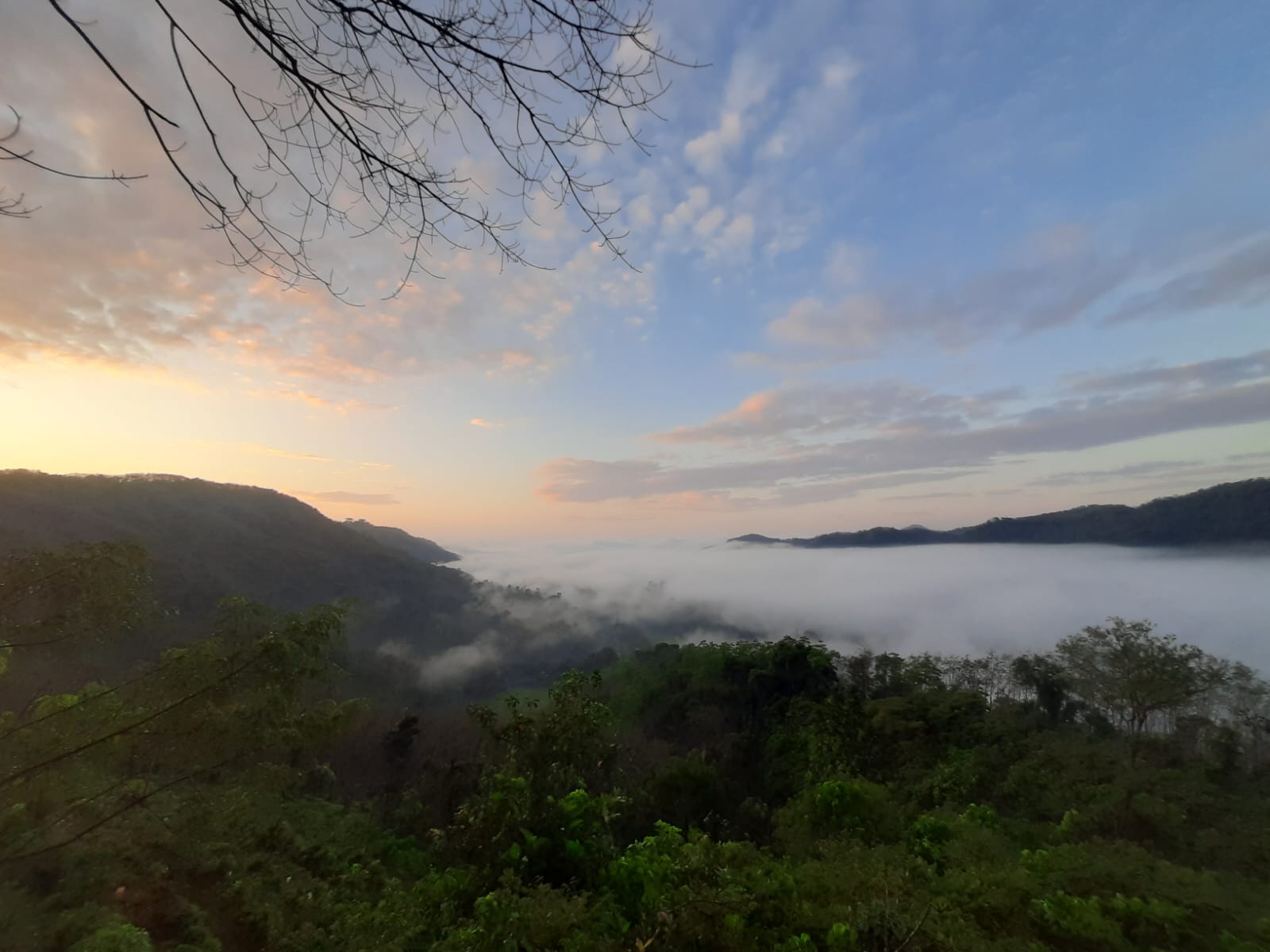 Nature