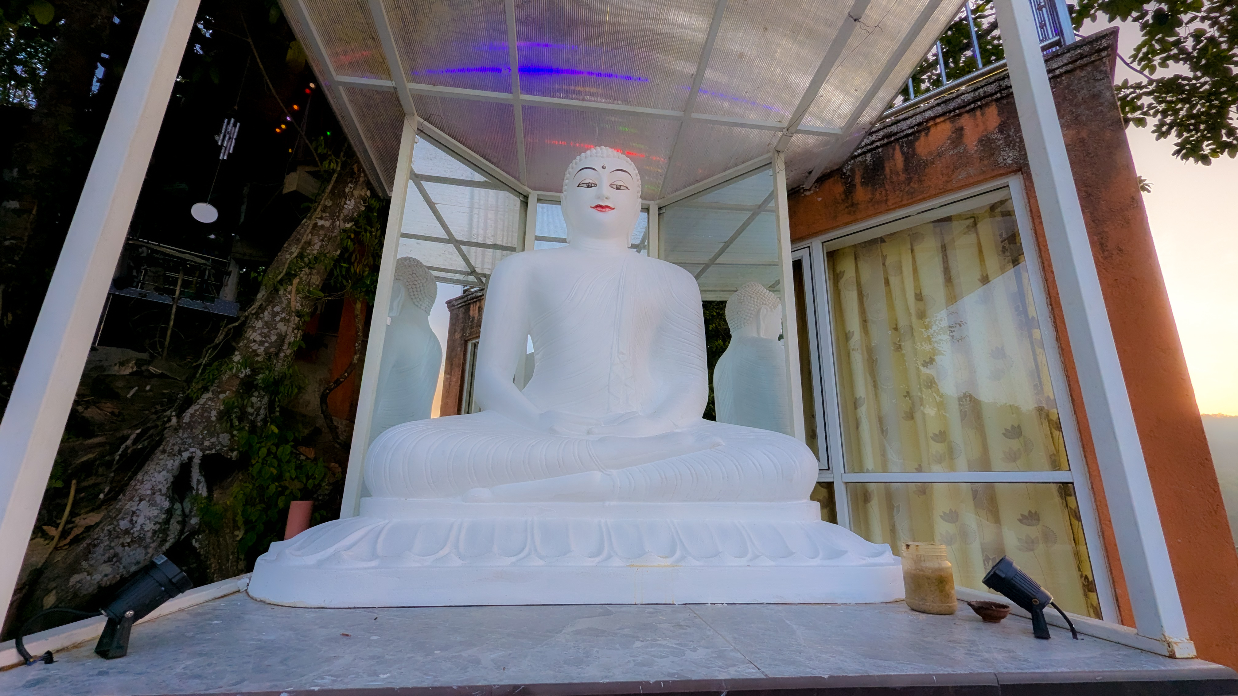 Bodhi Tree