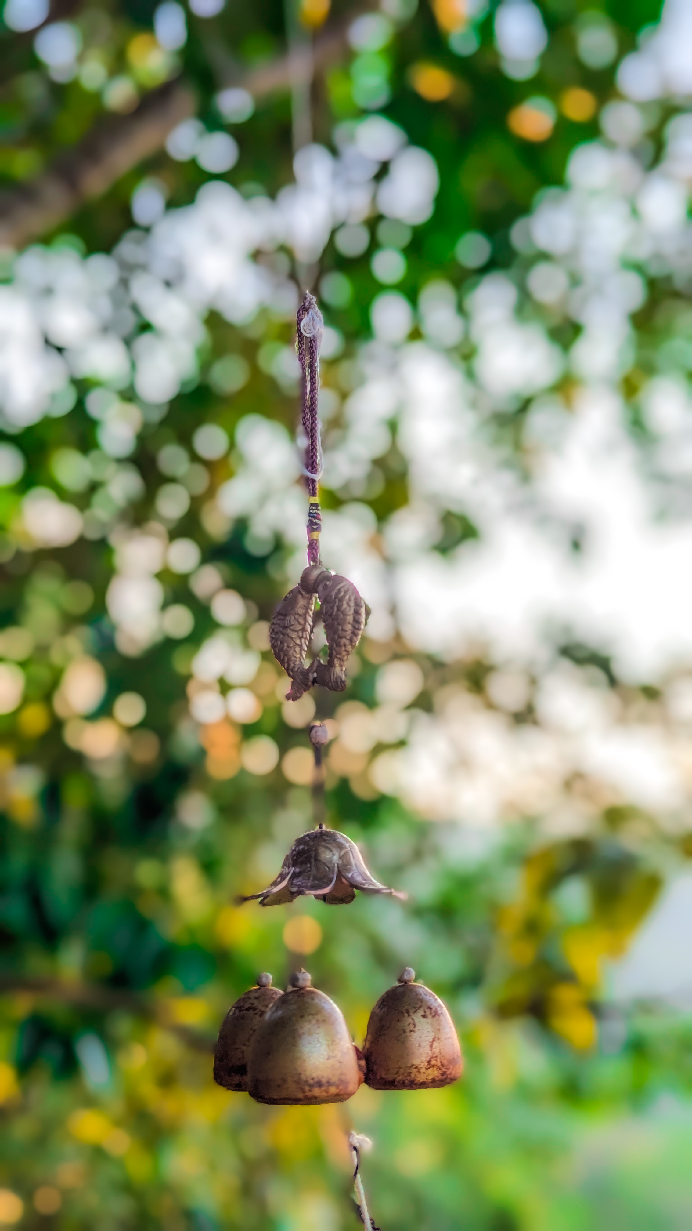 Bodhi Tree