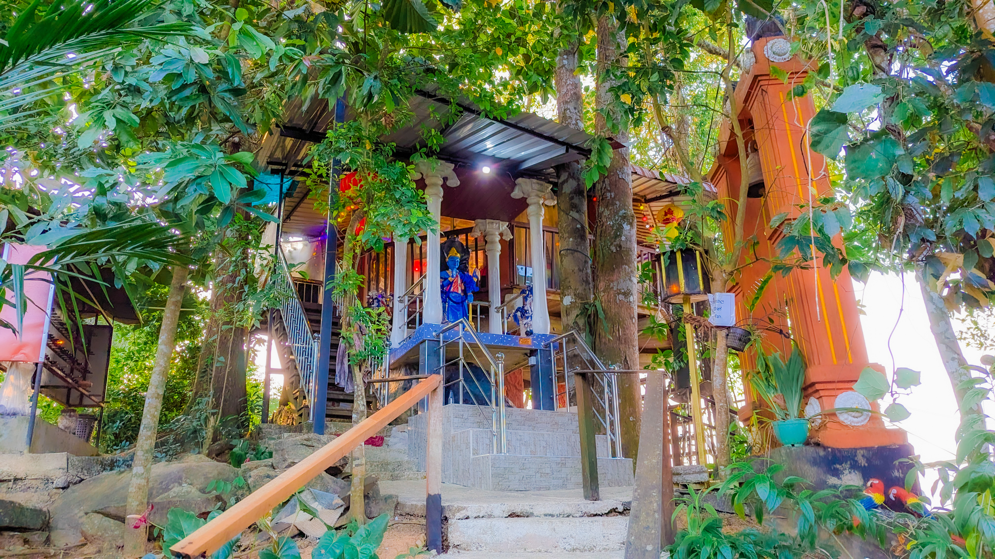 Bodhi Tree