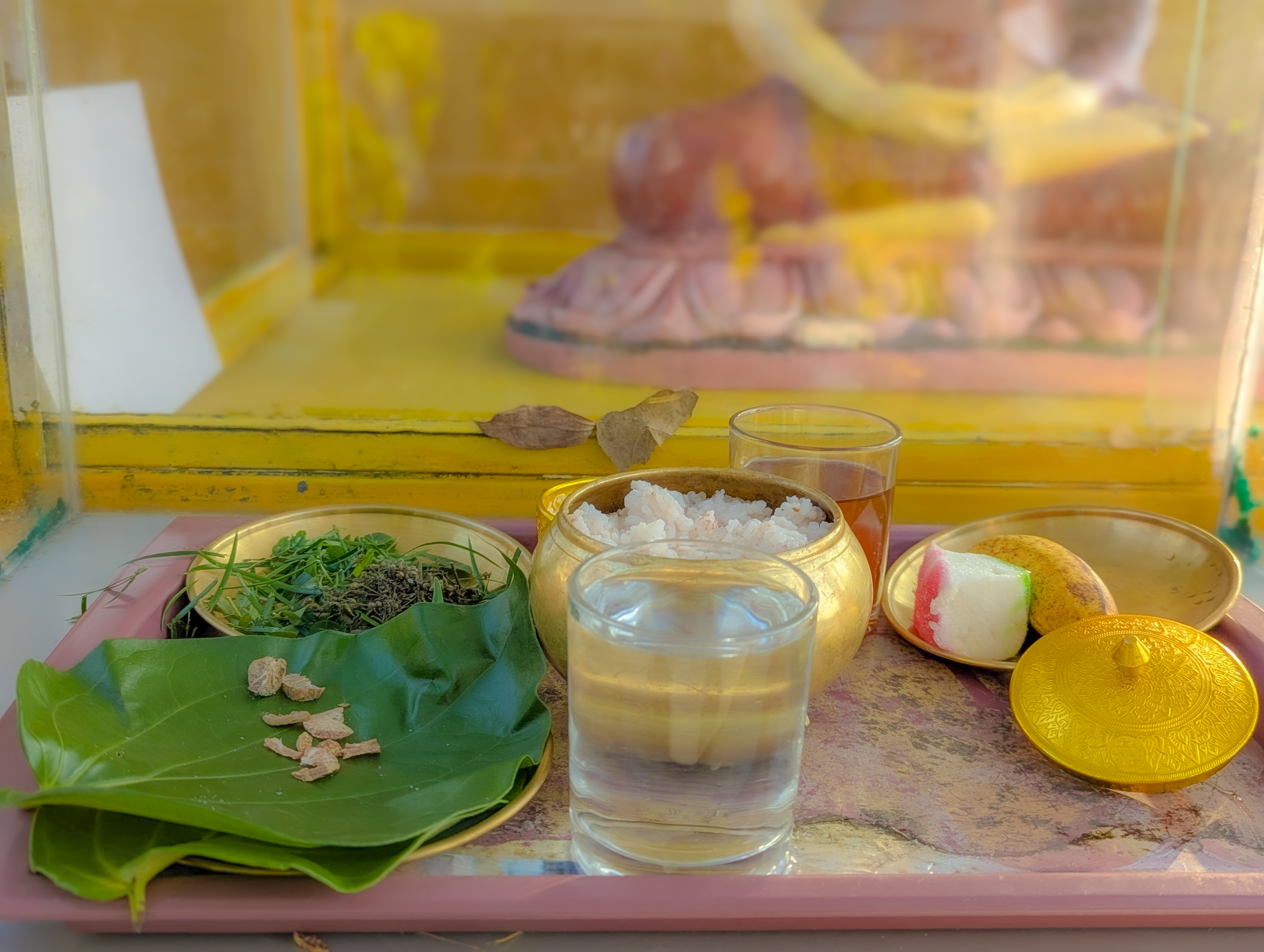 Bodhi Tree