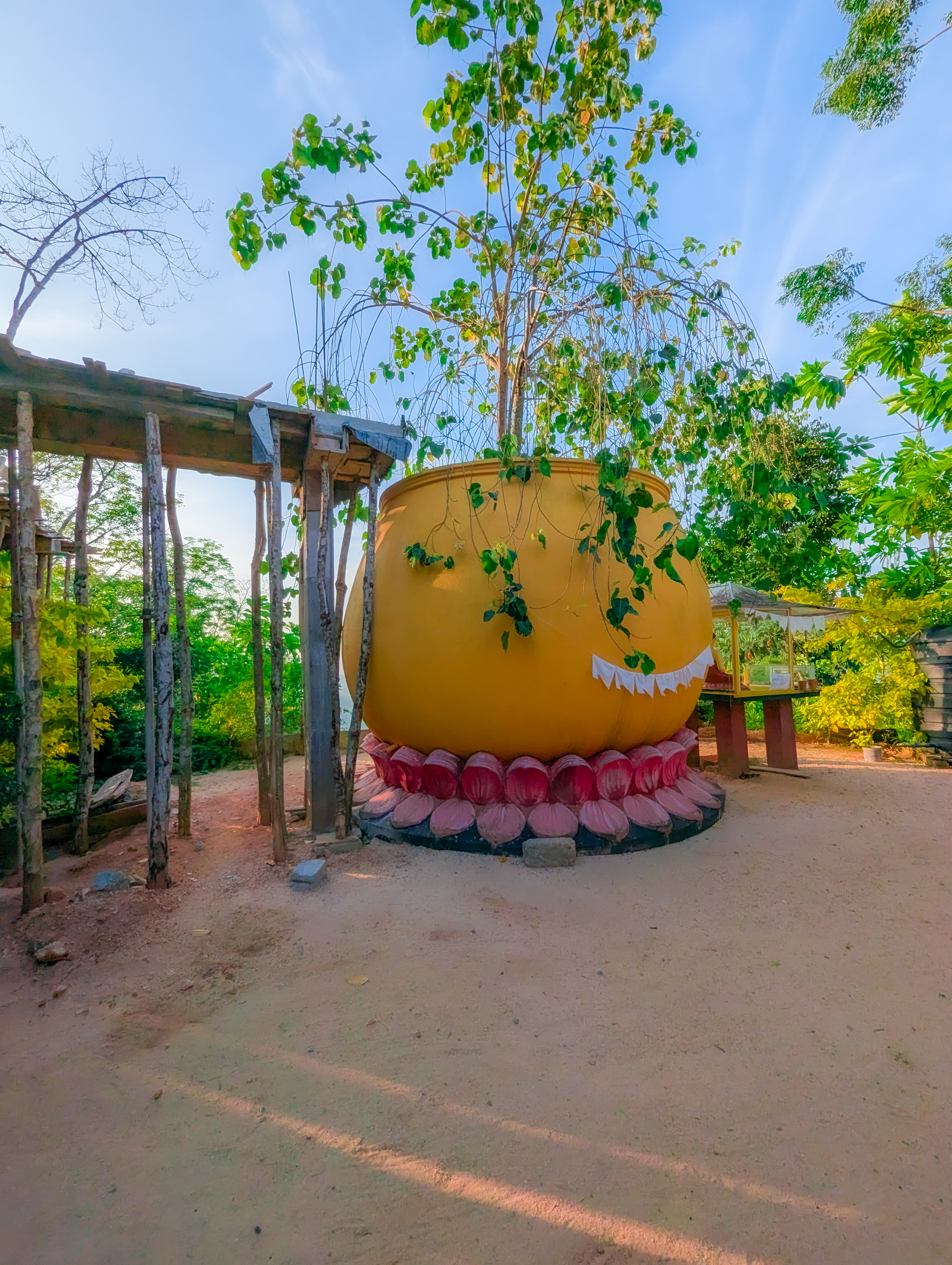 Bodhi Tree