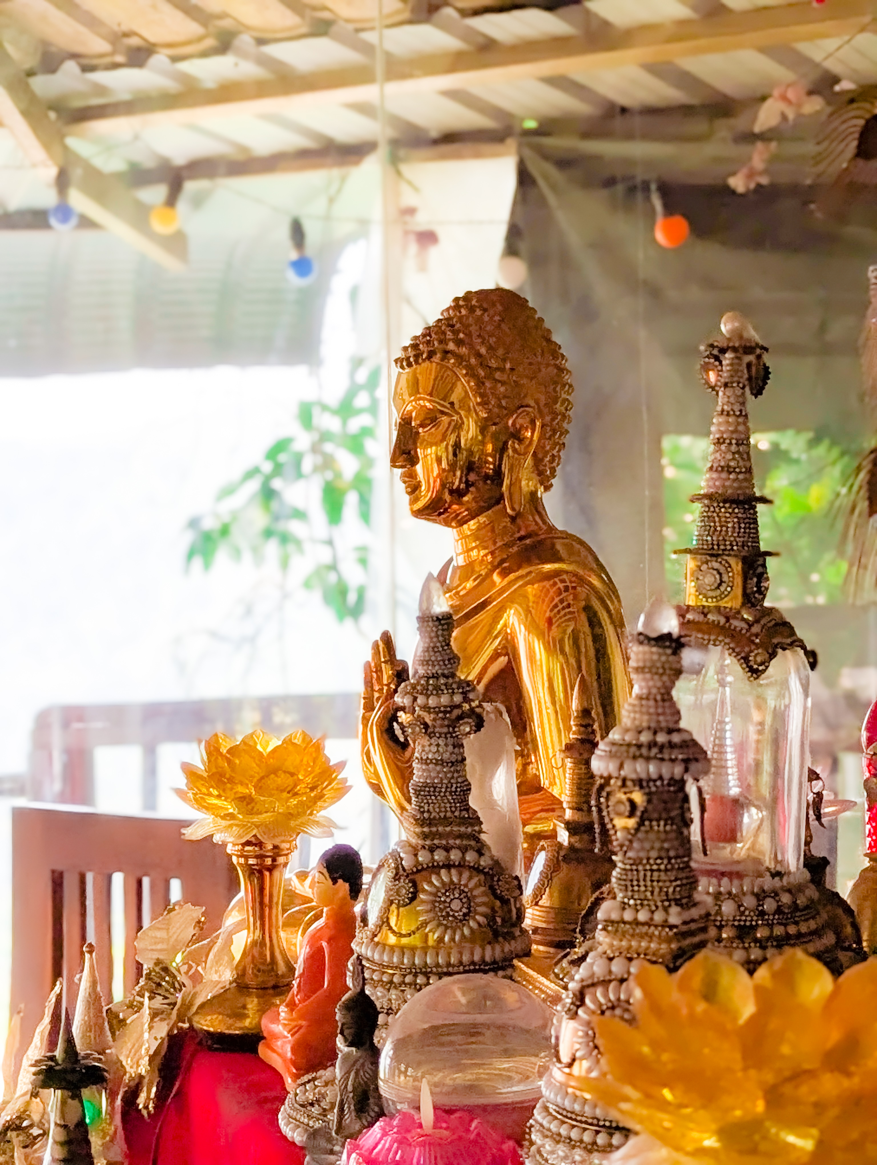 Bodhi Tree