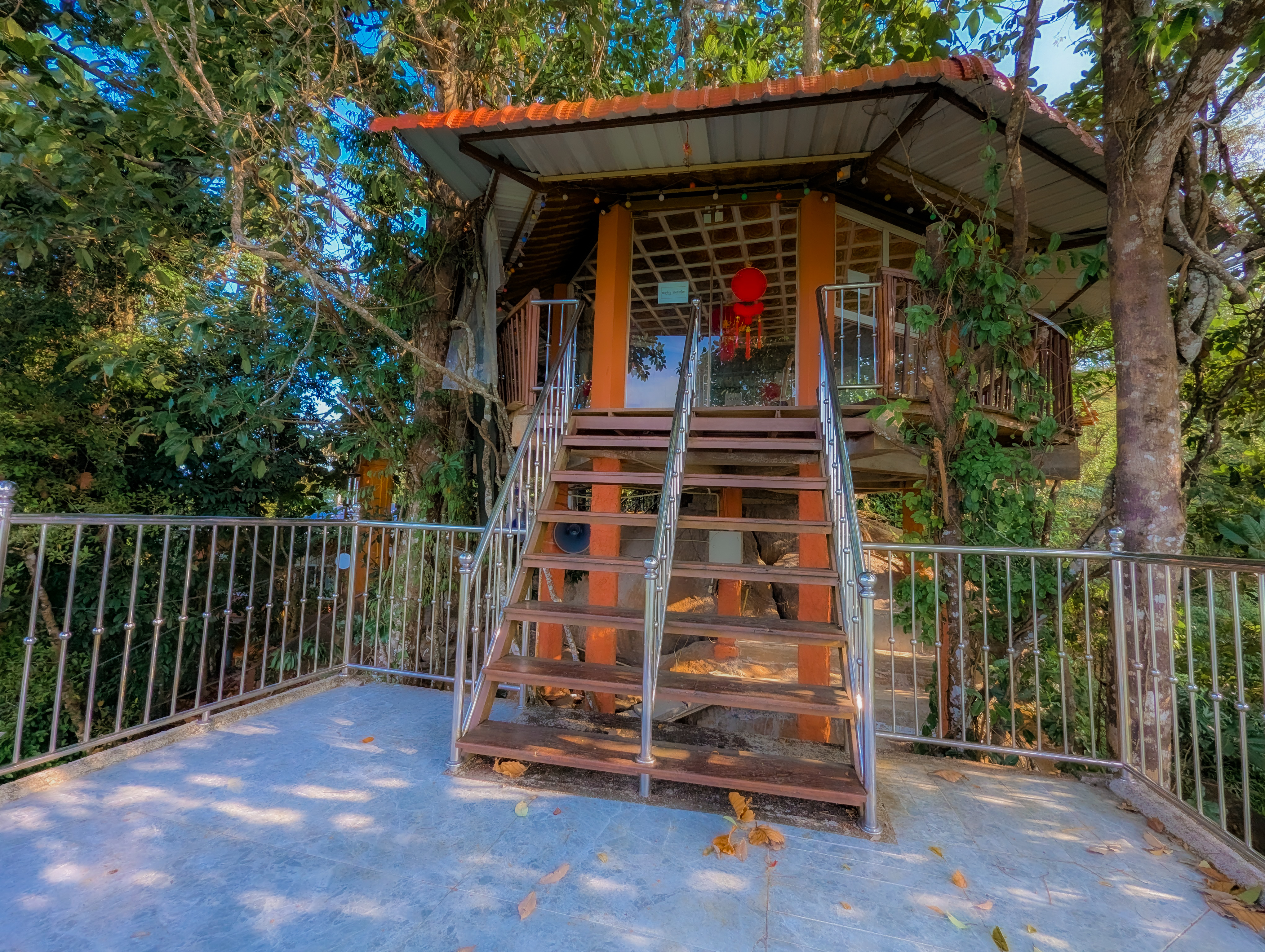 Bodhi Tree