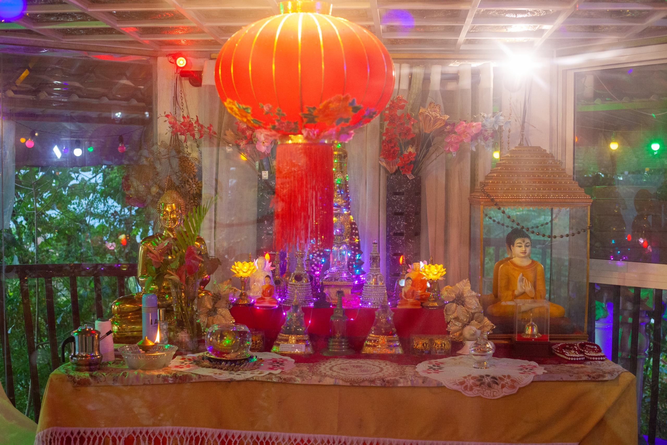 Bodhi Tree