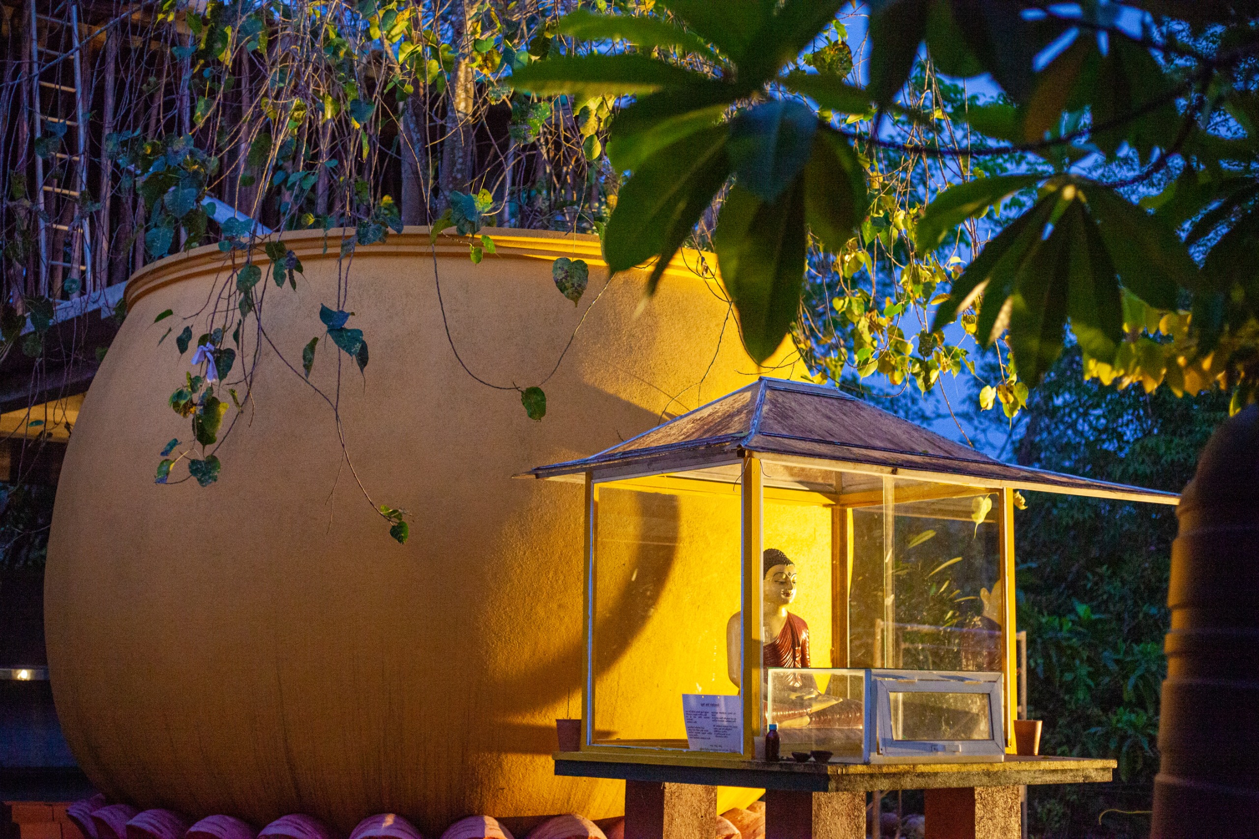 Bodhi Tree