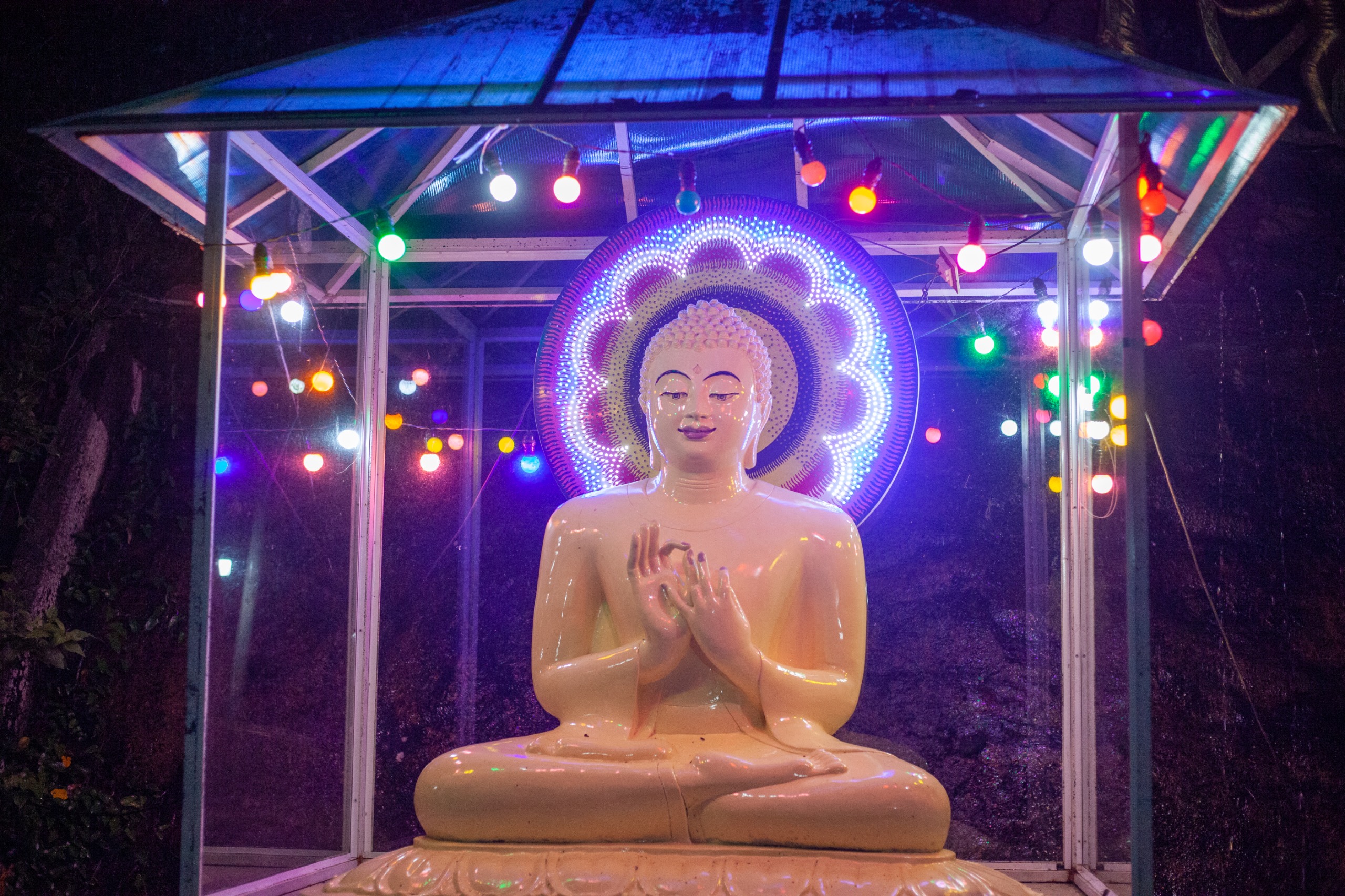 Bodhi Tree