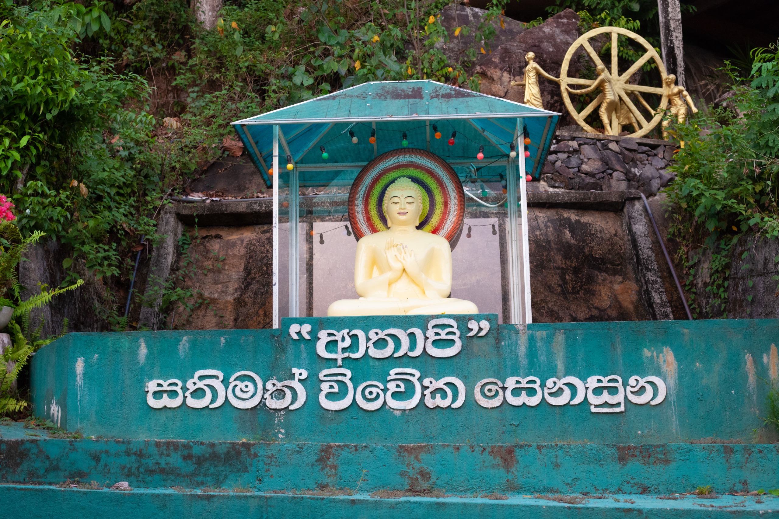Bodhi Tree